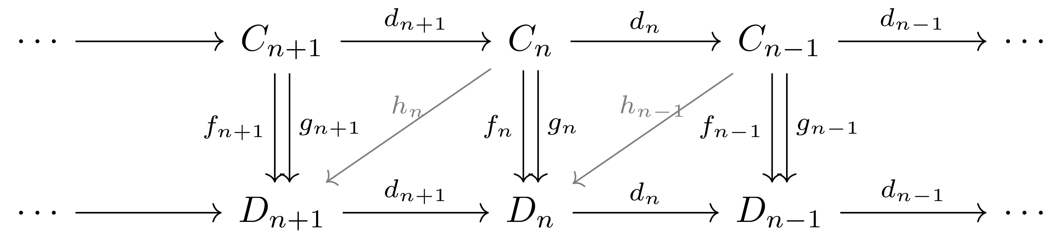 chain_homotopy